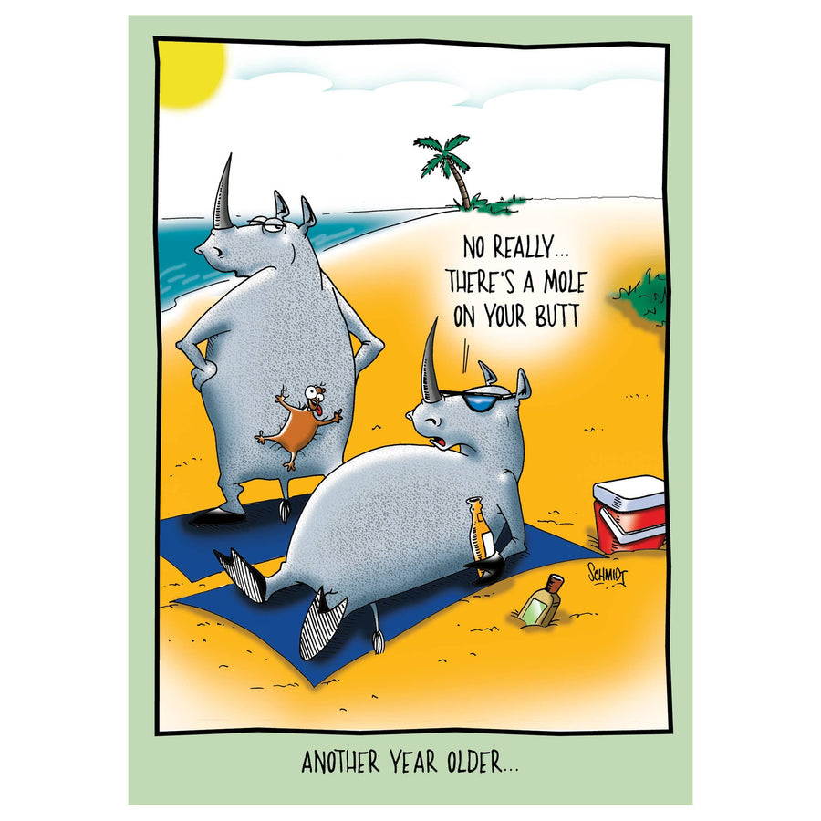 Raspberries Card Rhinos on the Beach | Funny Birthday Card