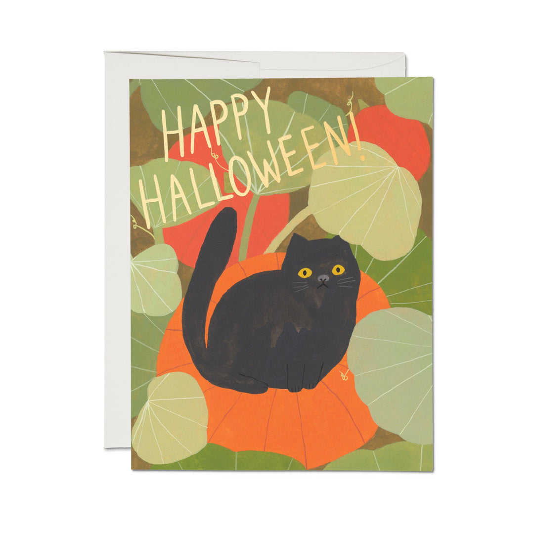 Red Cap Cards card Halloween Kitten Card