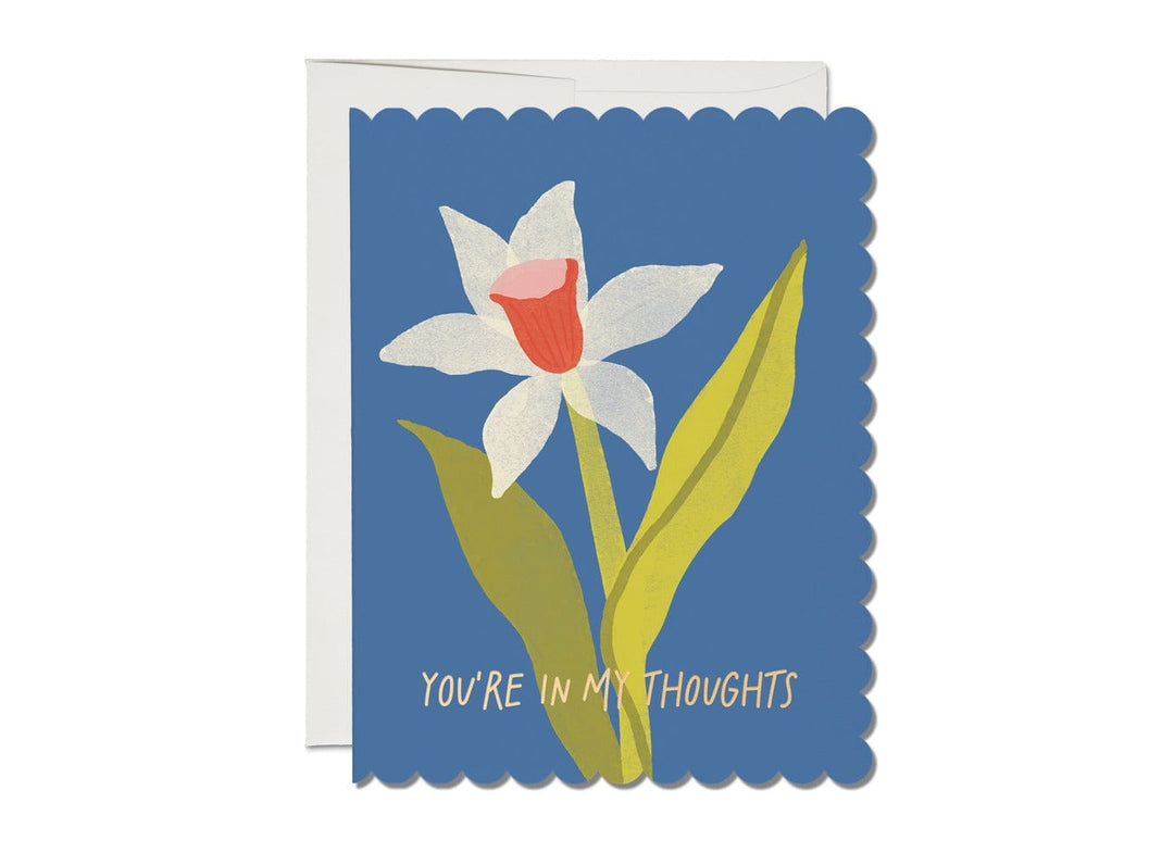 Red Cap Cards Card Scalloped Daffodil Die Cut Sympathy Card