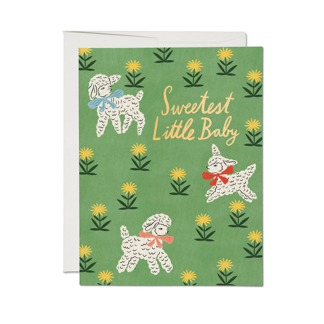 Red Cap Cards Cards Little Lamb Greeting Card