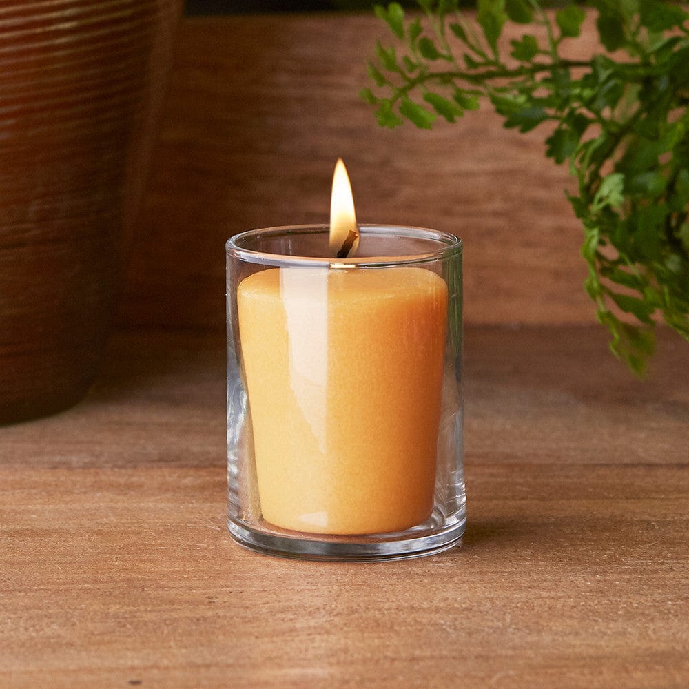 Frasier Fir 12 Taper Candle Set – Paper Luxe