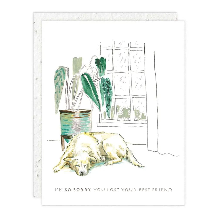 Seedlings Card Best Friend - Pet Sympathy Card