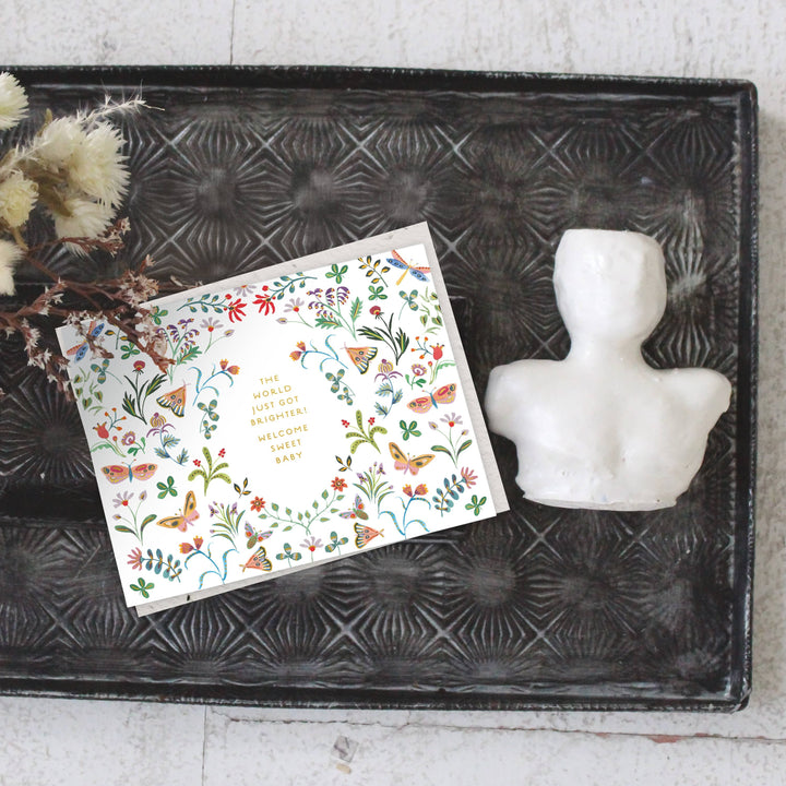 Seedlings Cards Butterfly Garden - Baby Card