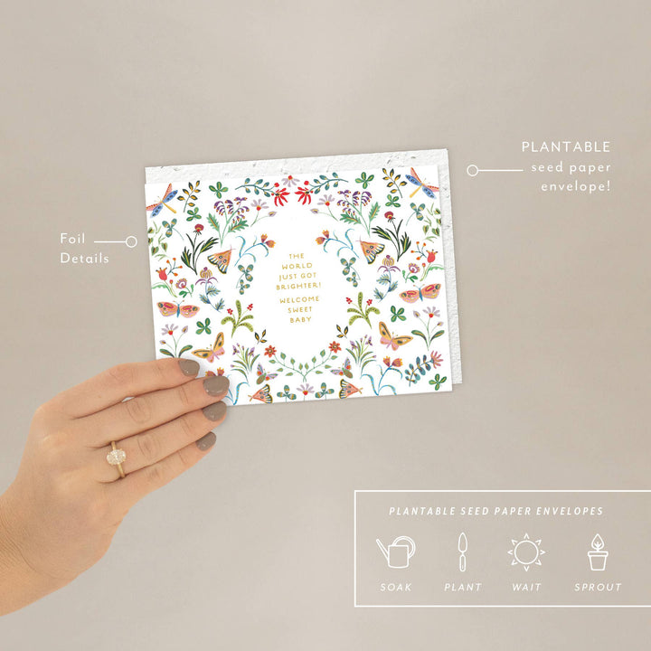 Seedlings Cards Butterfly Garden - Baby Card