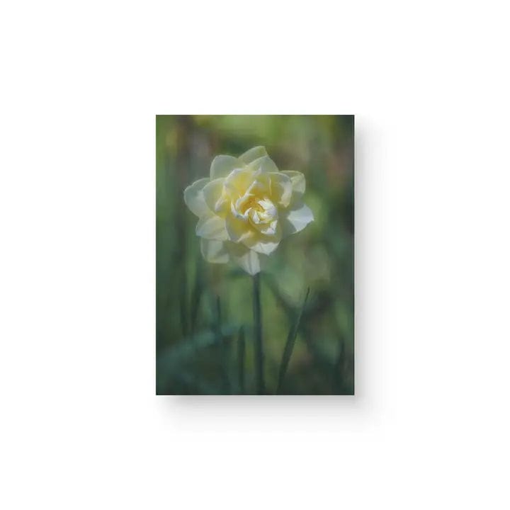 Sheryl's Virtual Garden Card A Little Daffy Yellow Flower Greeting Card