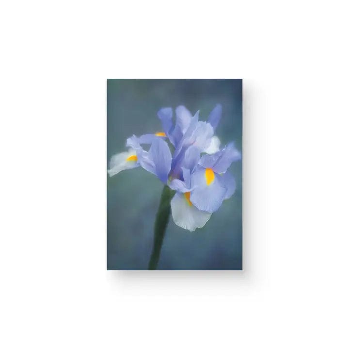 Sheryl's Virtual Garden Card Harmony Purple Flower Greeting Card