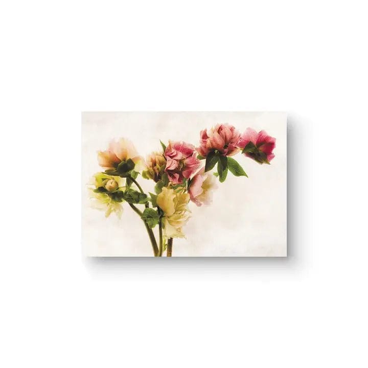 Sheryl's Virtual Garden Card Hellebore Bouquet Flower Greeting Card