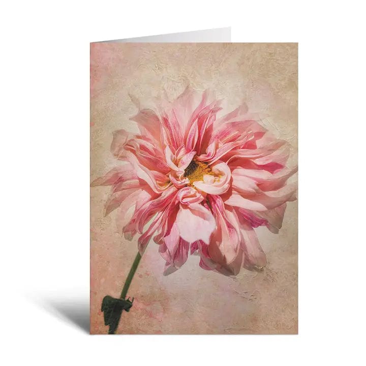 Sheryl's Virtual Garden Card Sweet Dahlia Single 5x7 Flower Greeting Card