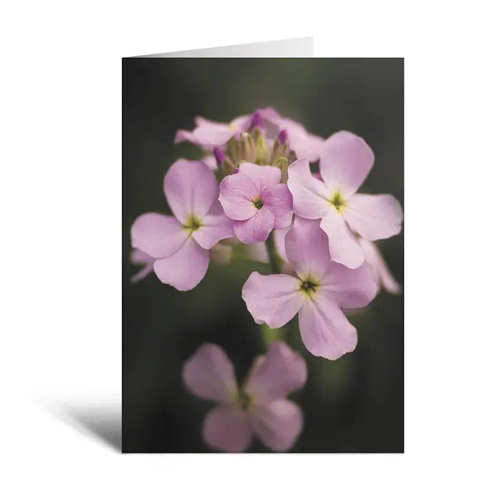 Sheryl's Virtual Garden Card Sweetness Flower Greeting Card