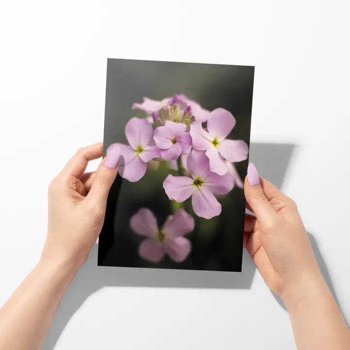 Sheryl's Virtual Garden Card Sweetness Flower Greeting Card