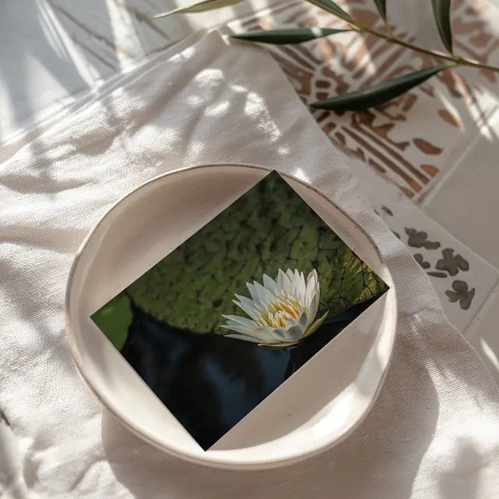 Sheryl's Virtual Garden Card Waterlily White Flower Greeting Card