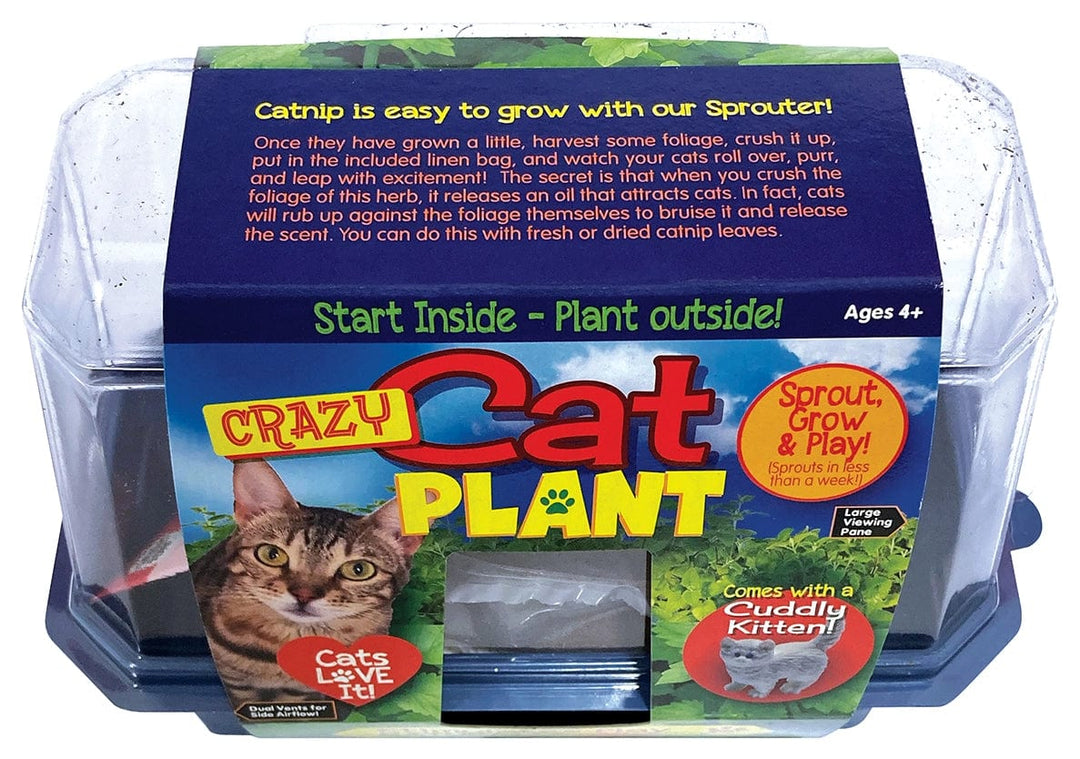 Silver Circle Products Pots & Planters Crazy Cat Plant Mini World Terrarium