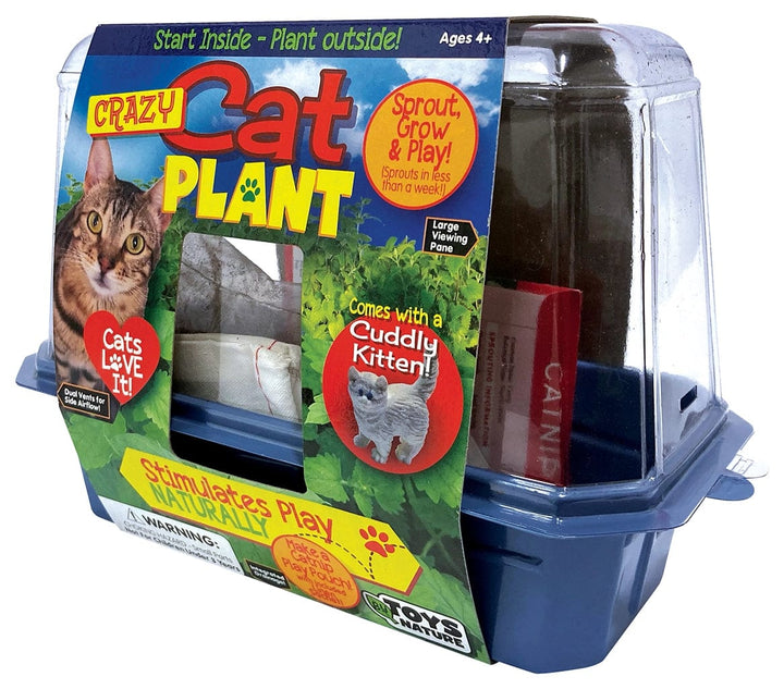 Silver Circle Products Pots & Planters Crazy Cat Plant Mini World Terrarium