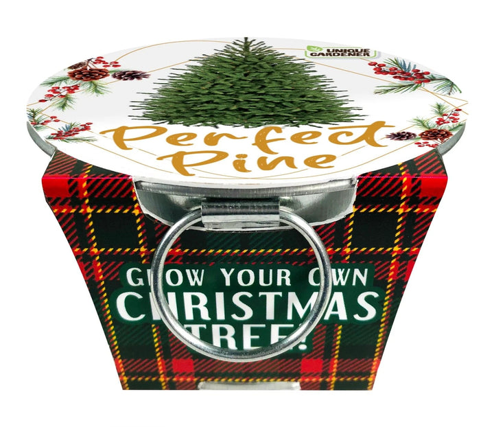 Silver Circle Products Pots & Planters Perfect Pines - Grow Your Own Christmas Tree