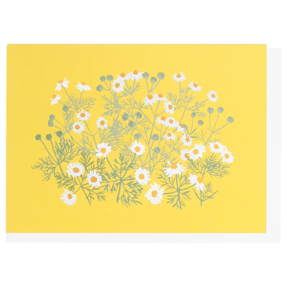 Smudge Ink Boxed Card Set Chamomile Note Card - Box Set of 10