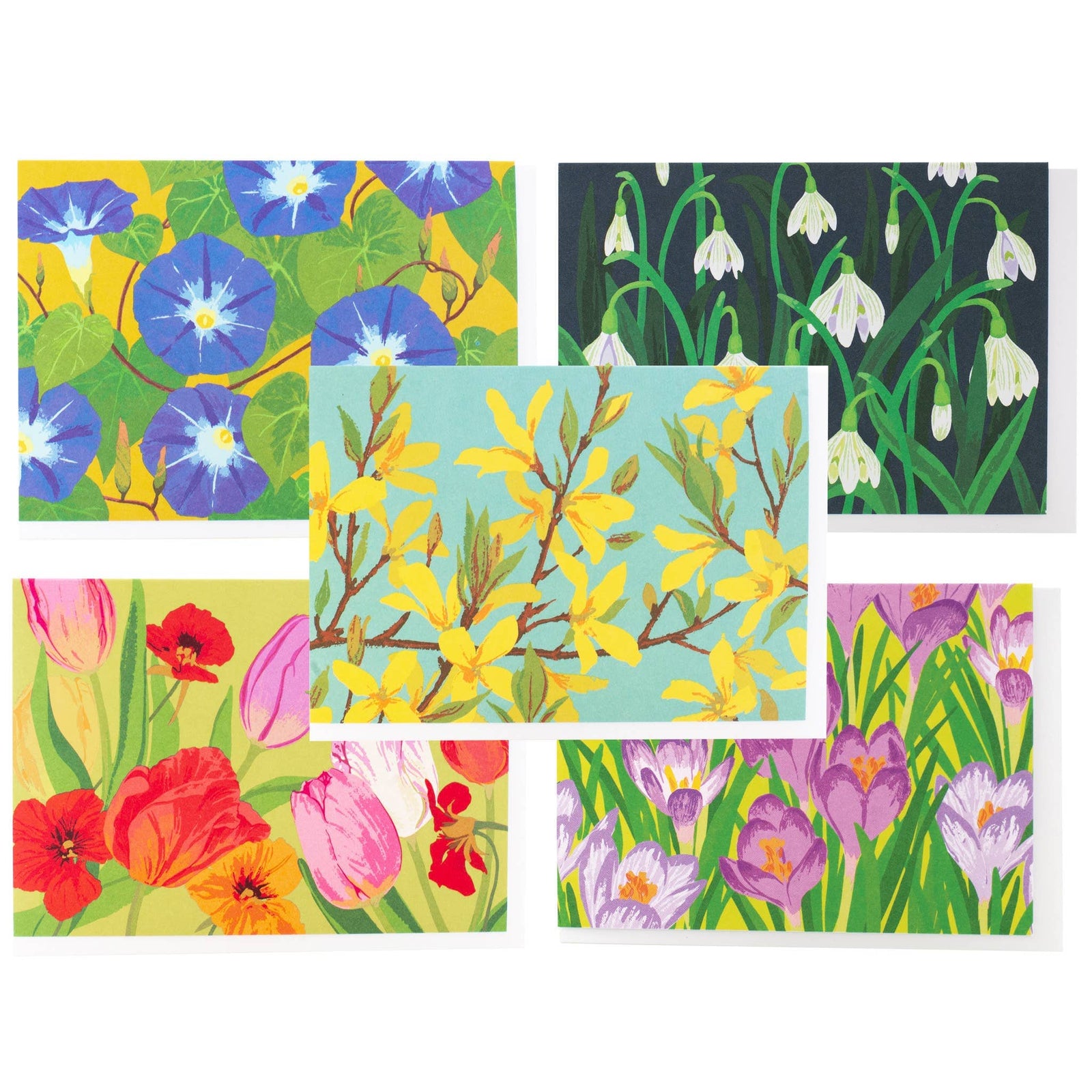 Smudge Ink Cards Assorted Joyful Blooms Note Card Set
