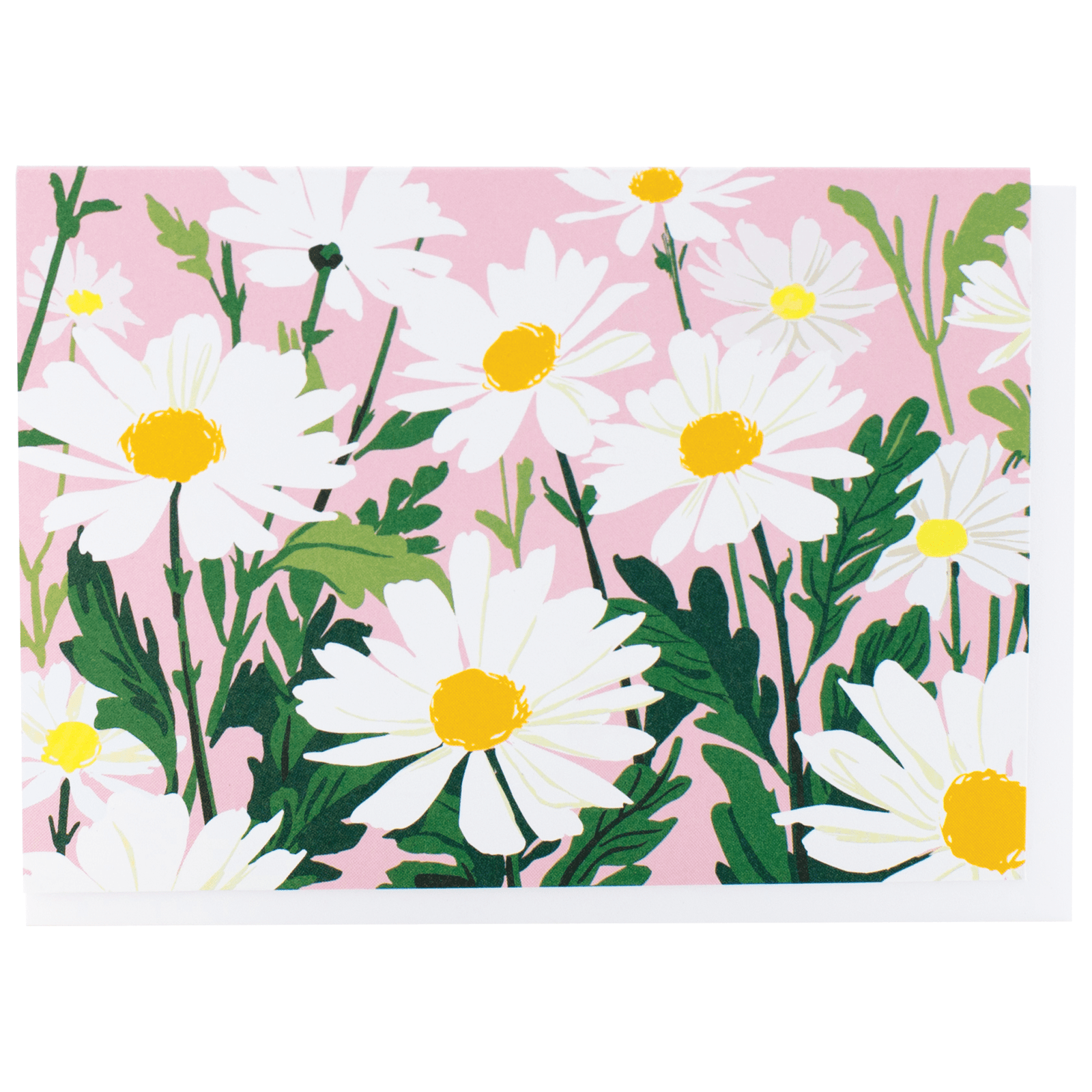 Smudge Ink Cards Daisies Boxed Note Cards