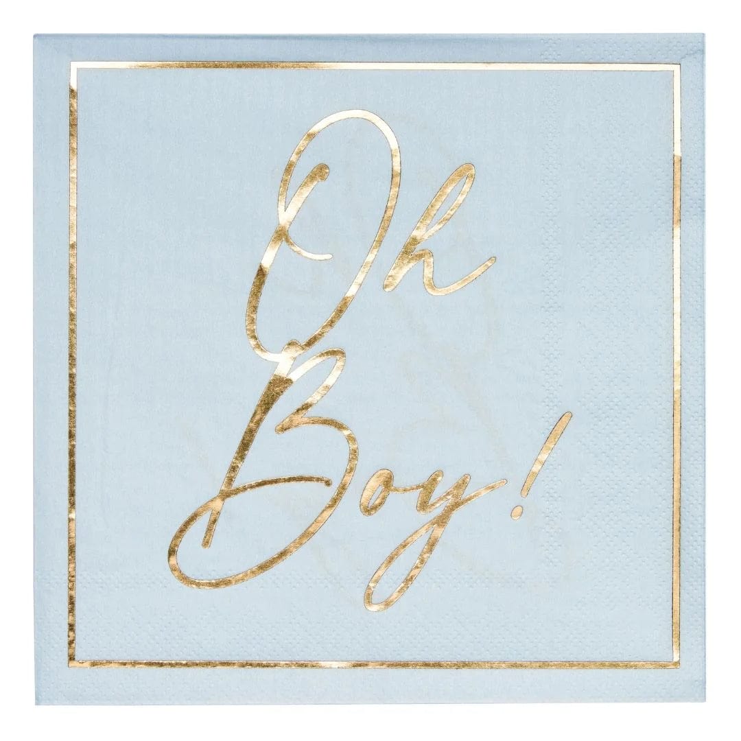 Sophistiplate Paper Napkins Lunch Napkin Hey Baby Blue