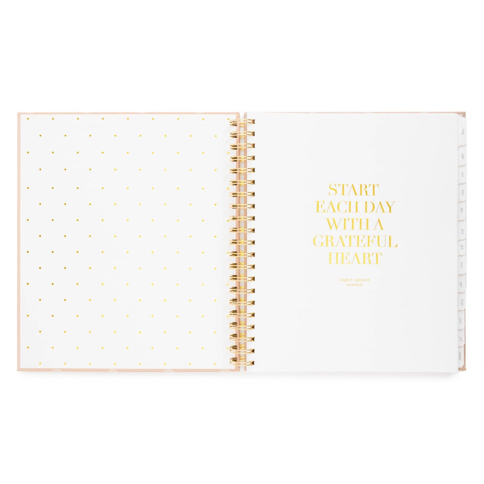 Sugar Paper paper 2026-2027 Rose Dot Large Spiral Weekly & Monthly Academic Planner