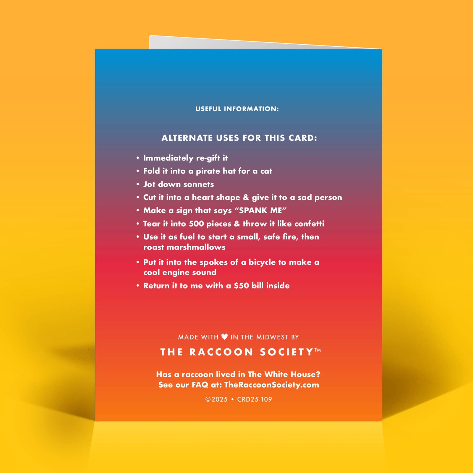 The Raccoon Society Cards Warrior Princess Birthday Card