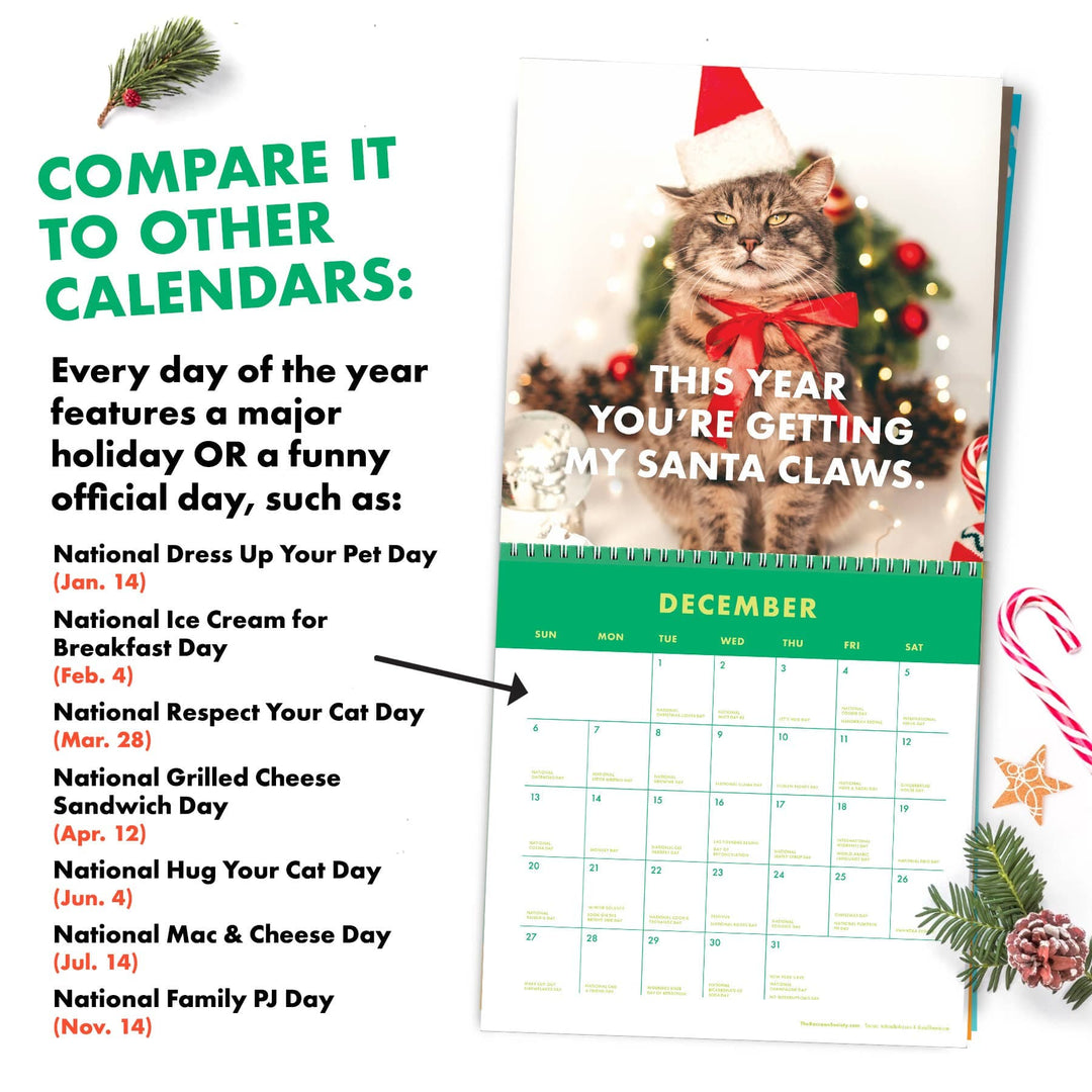 The Raccoon Society paper 2026 Pissed Off Cats Calendar