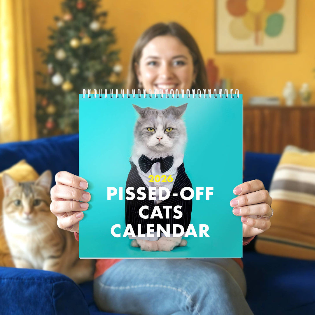 The Raccoon Society paper 2026 Pissed Off Cats Calendar
