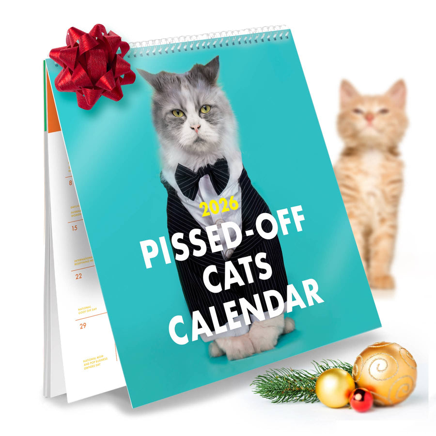 The Raccoon Society paper 2026 Pissed Off Cats Calendar