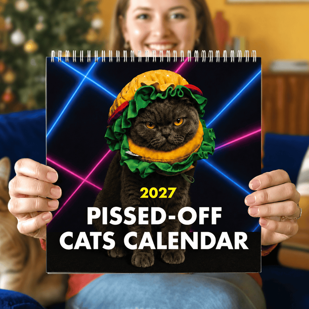 The Raccoon Society paper 2027 Pissed Off Cats Calendar