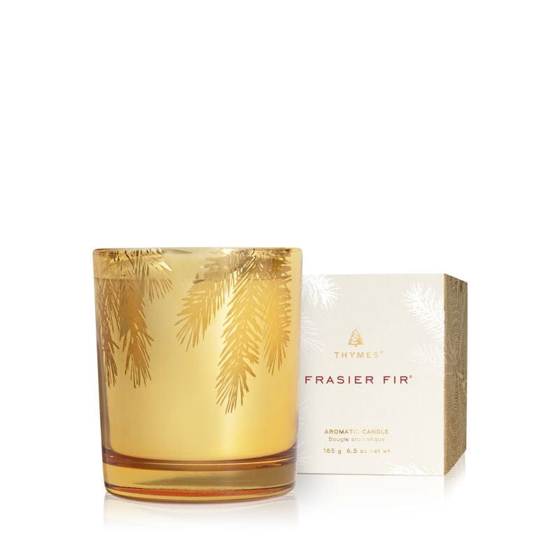 Thymes Candle Frasier Fir 6.5oz Gold Poured Candle, Pine Needle