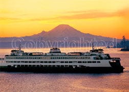 Tom Haseltine Photography Cards Ferry and Mount Rainier Postcard