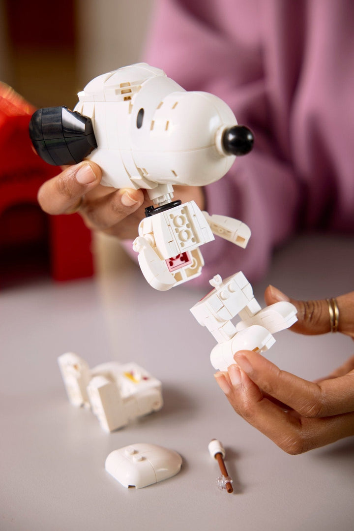 Toyhouse LLC STEM Ideas Peanuts: Snoopy&