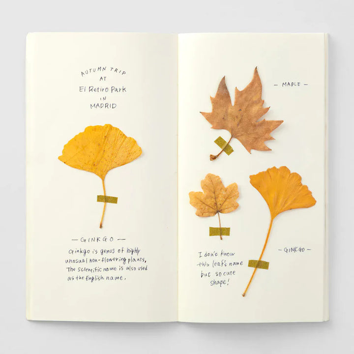 Traveler's Company Paper Traveler's Notebook - 025 MD Paper Cream