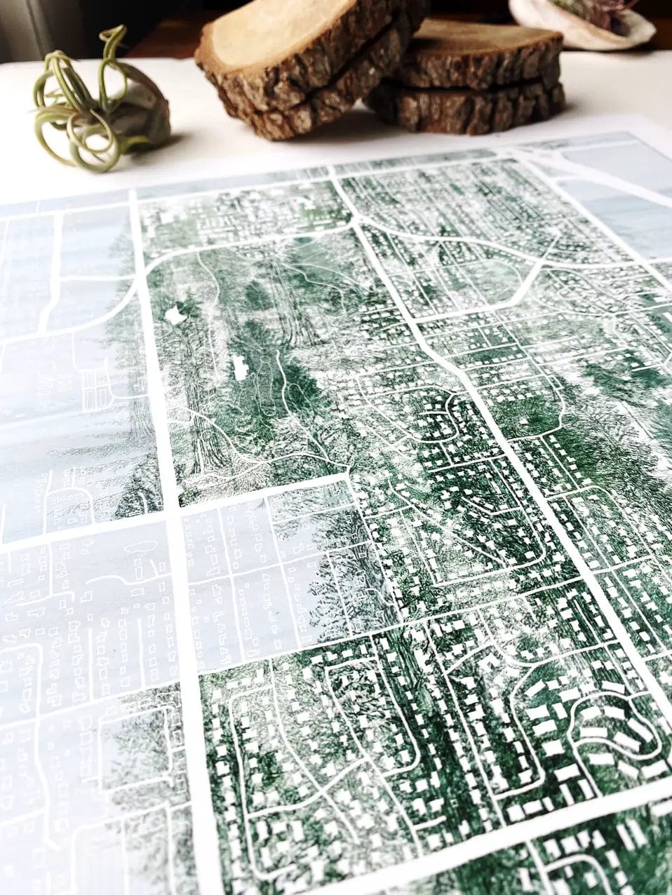 Turn-of-the-Centuries Art Print Fircrest Fir Tree Map Art Print