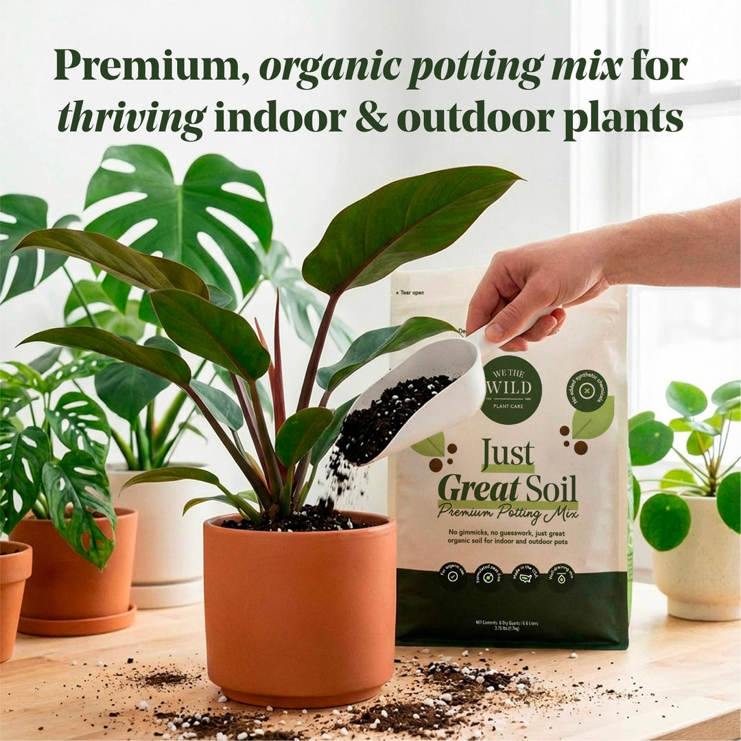 We The Wild Plant Care USA Plants Just Great Soil Potting Mix