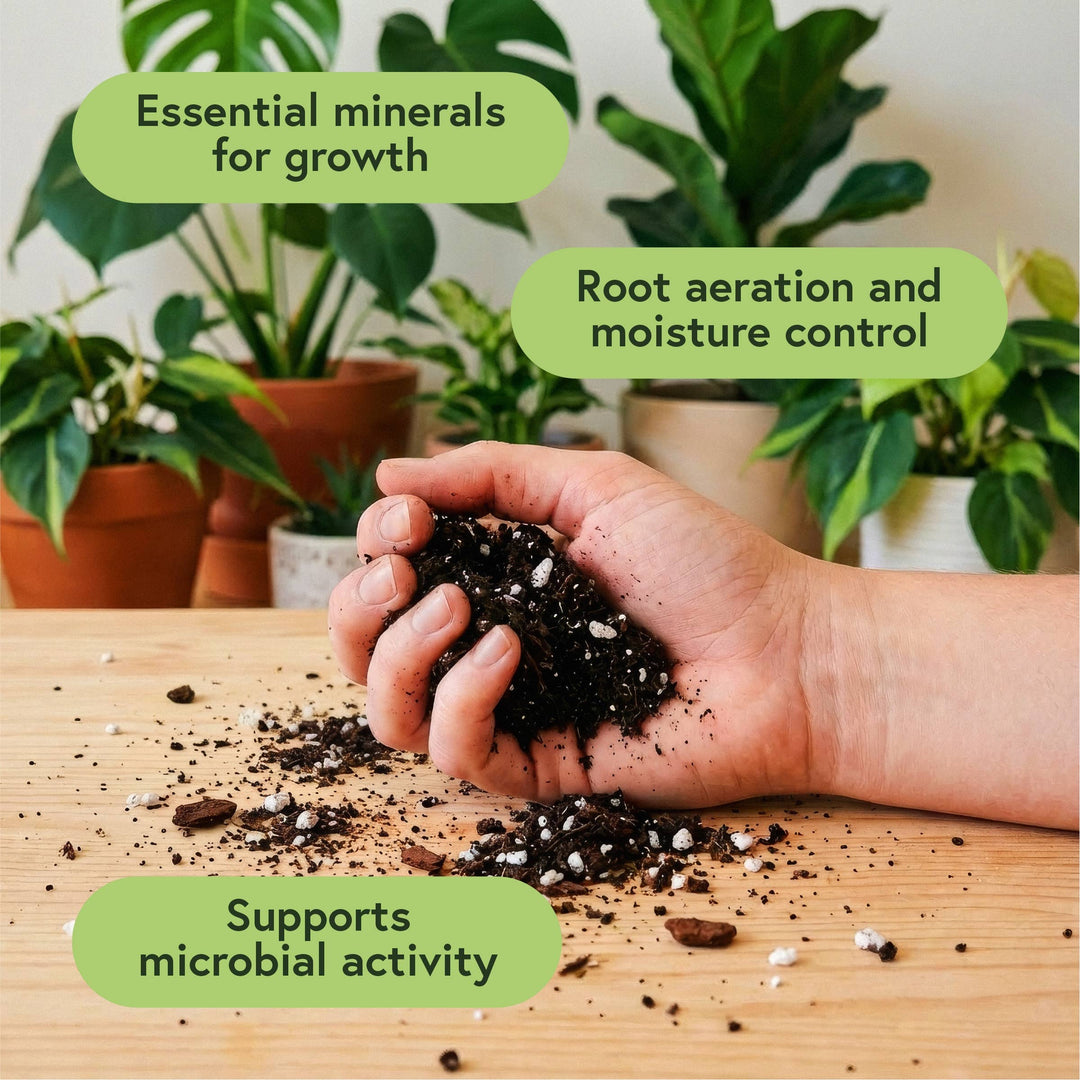 We The Wild Plant Care USA Plants Just Great Soil Potting Mix