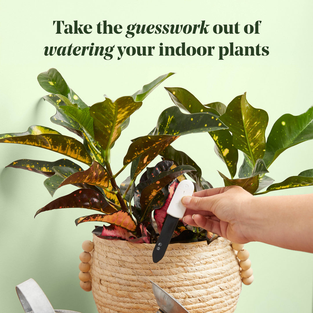 We The Wild Plant Care USA Plants Soil Moisture Meter For Houseplants