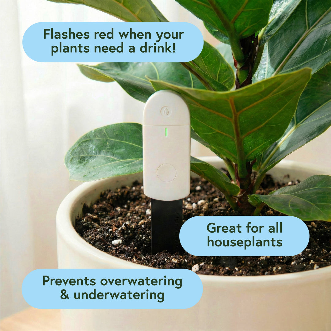 We The Wild Plant Care USA Plants Soil Moisture Meter For Houseplants