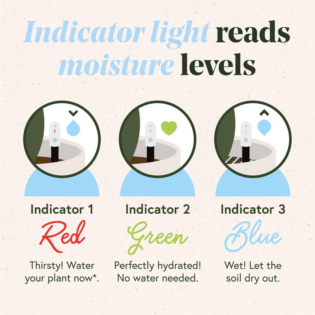 We The Wild Plant Care USA Plants Soil Moisture Meter For Houseplants