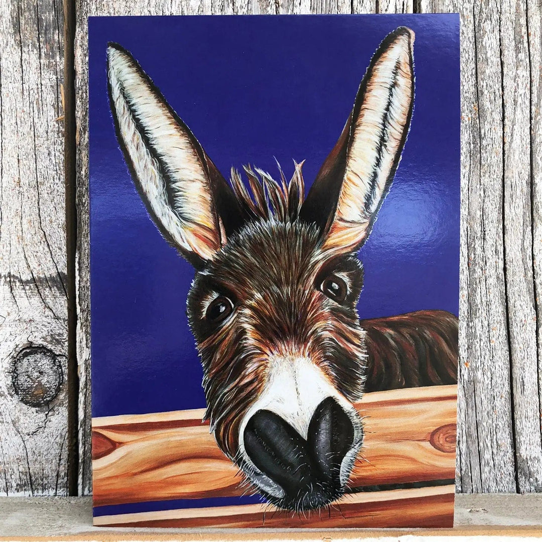 Woollybear Explores Card Jimbob the Donkey Greeting Card