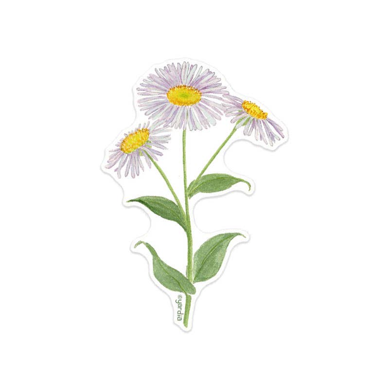 Yardia Cards Daisy Sticker - Watercolor Botanical Flower Vinyl Sticker