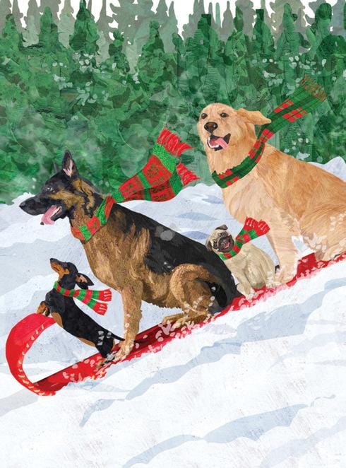 Allport Card Dogs Toboggan Holiday Card