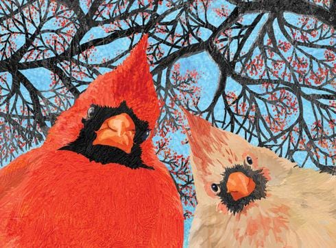 Allport Card Quirky Birds Holiday Card