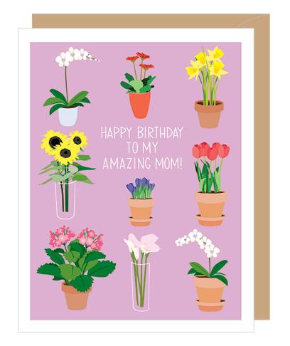 Apartment 2 Cards Card Potted Flower Mom Birthday Card