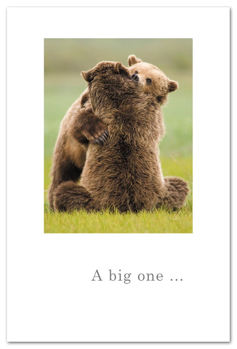 Cardthartic Card Bear Hug Birthday Card