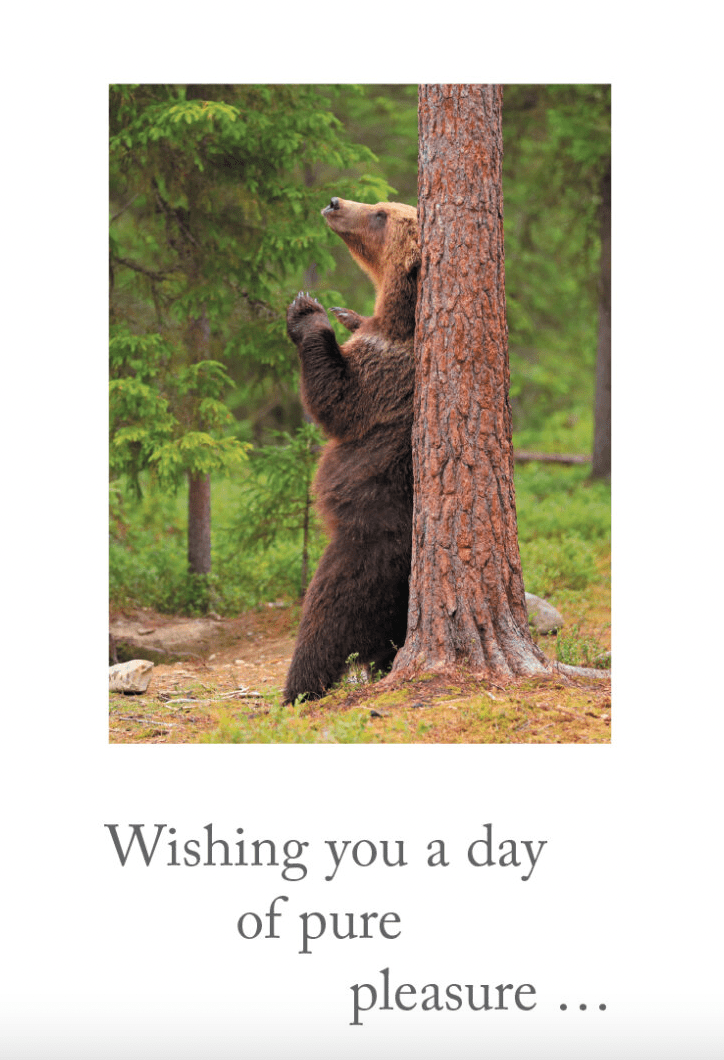 Cardthartic Card Bear Scratching Back Birthday Card