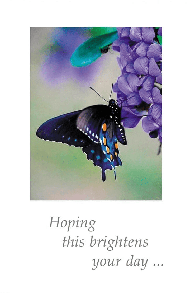 Cardthartic Card Butterfly on Purple Hydrangea Card