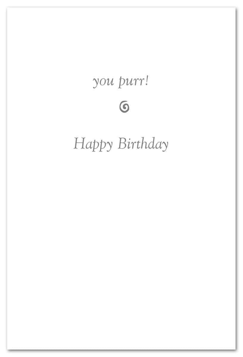 Cardthartic Card Cat Scratching Birthday Card