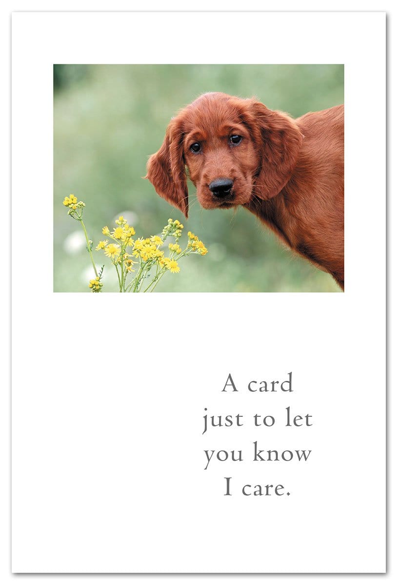 Cardthartic Card Concerned Retriever Card