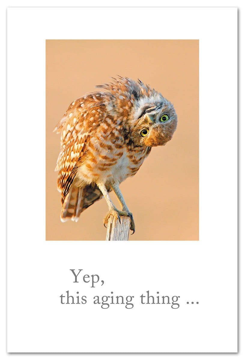 Cardthartic Card Curious Owl Birthday Card