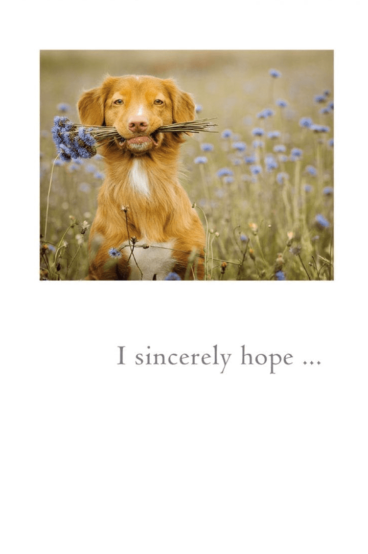 Cardthartic Card Dog Holding Flowers Card